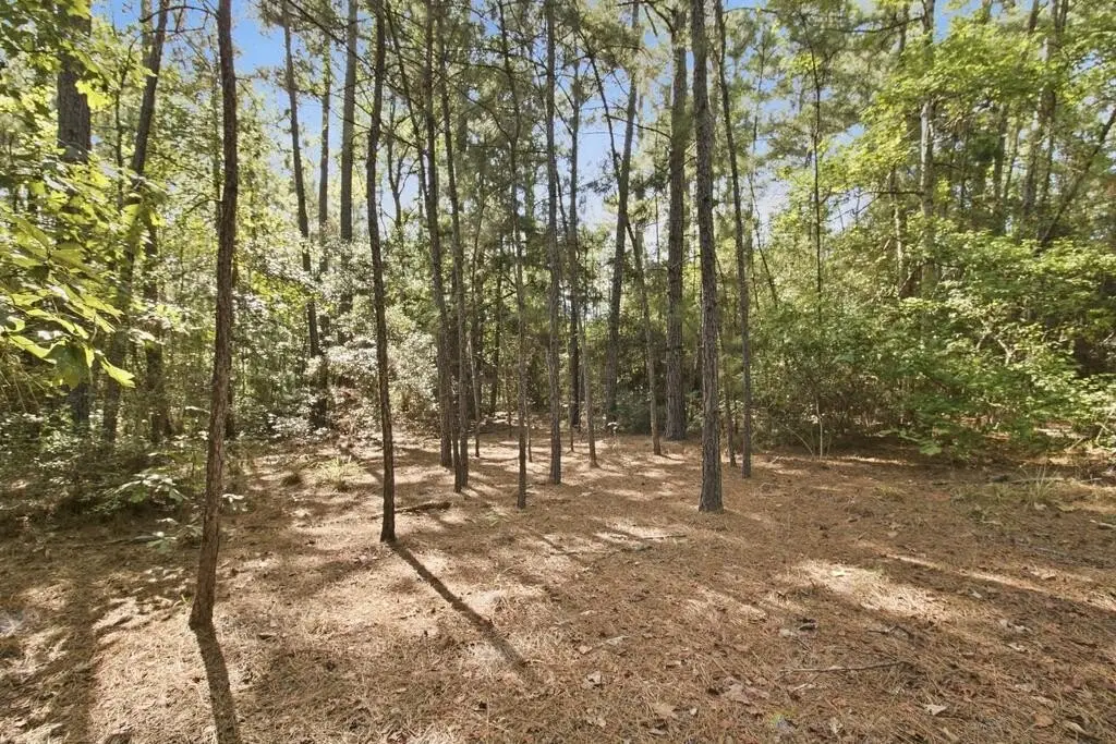 Picture 19
