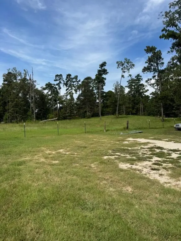 Picture 4
