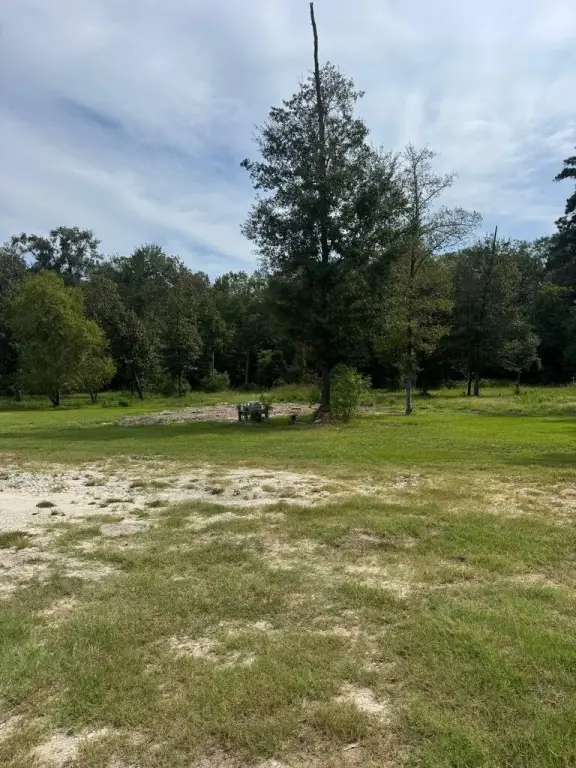 Picture 2