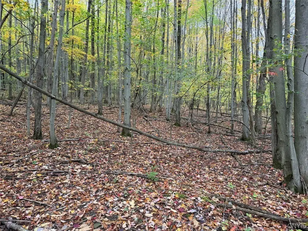 Picture 14
