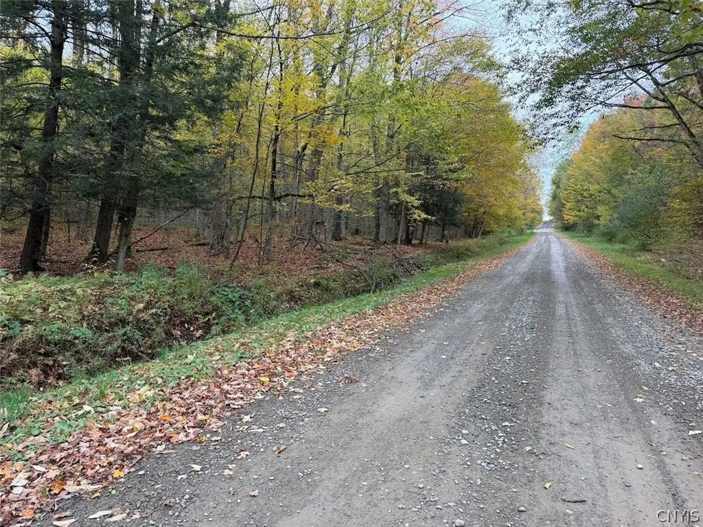 Picture 25