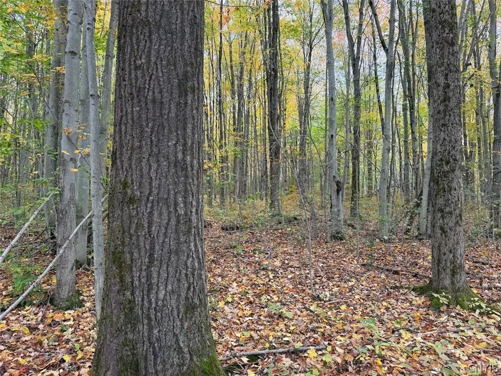 Picture 22