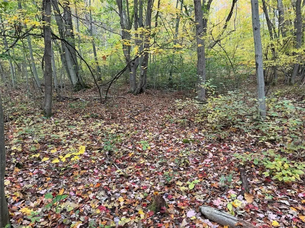 Picture 17