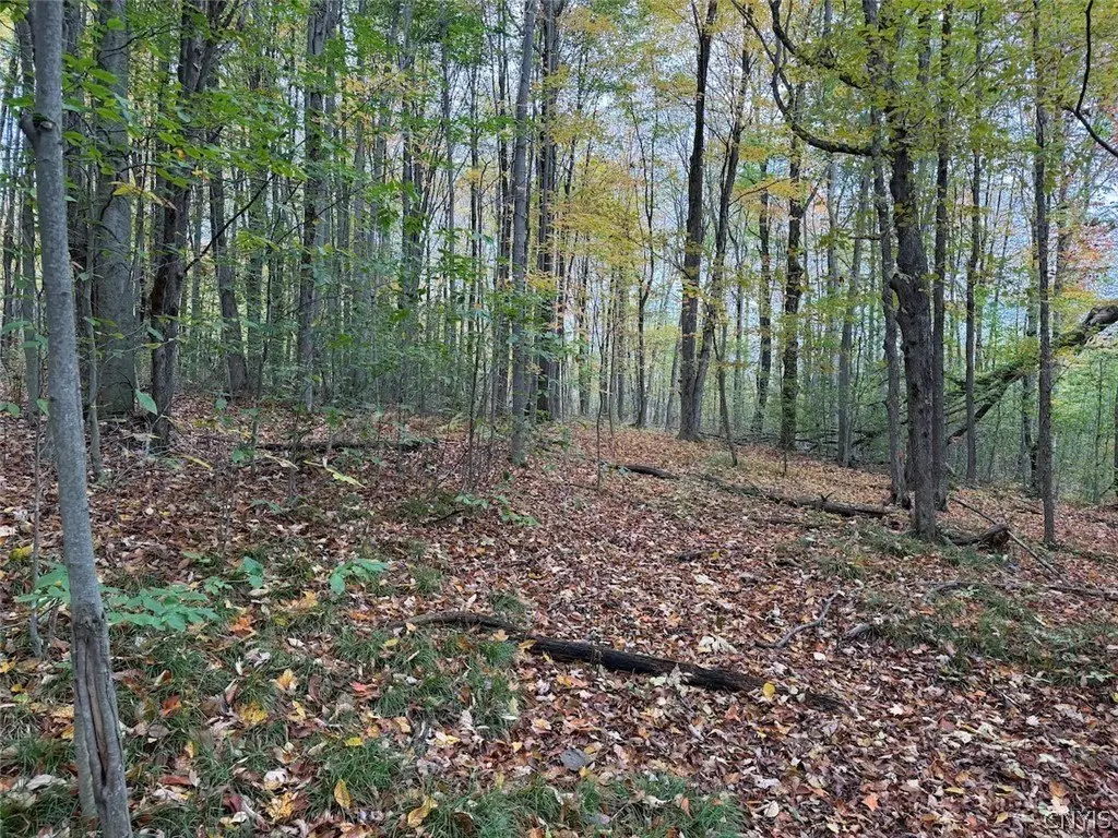 Picture 21