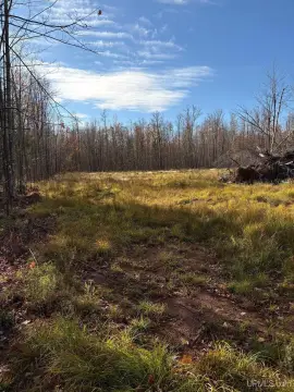 Wooded Land Near Lake Superior
