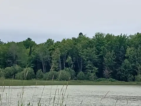 Lake Linden Vacant Waterfront Land