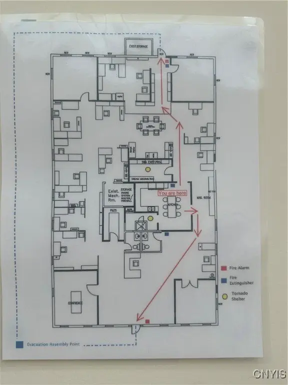 Picture 9