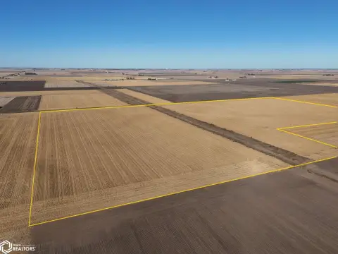 Farmland Auction near Ashkum, Illinois