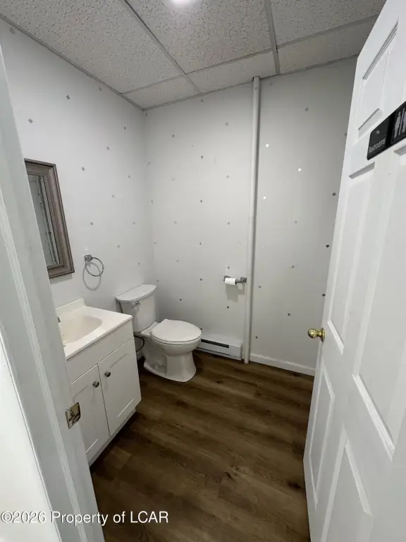 Picture 7