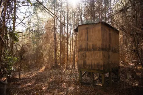 Secluded Land Near National Forest