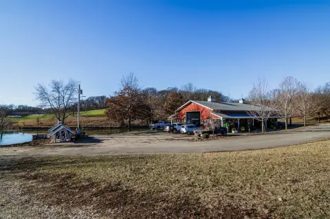 Established Tree Farm on 117 Acres