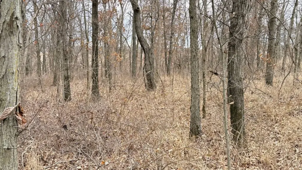 Picture 11