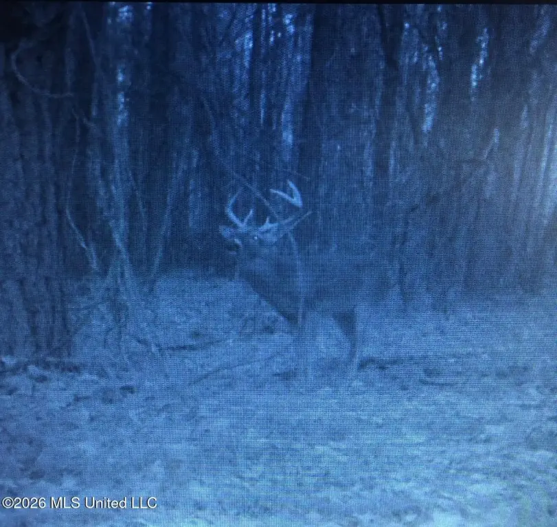 Picture 16