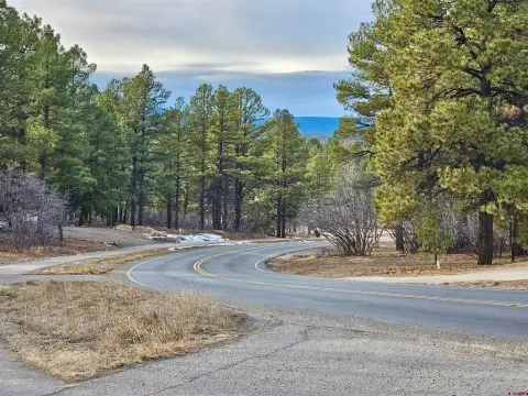 Residential Corner Lot in Pagosa