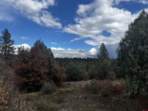 Pagosa Springs Residential Land Parcel