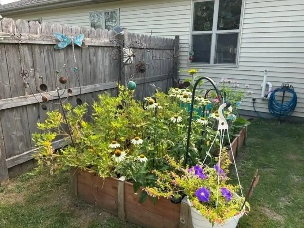 Picture 18