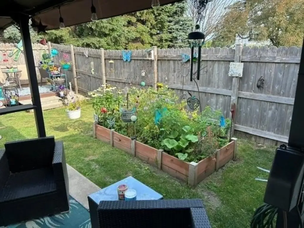 Picture 19