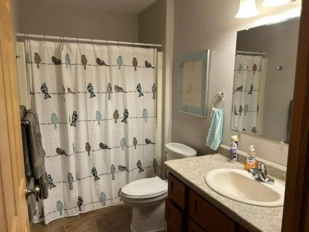 Picture 15