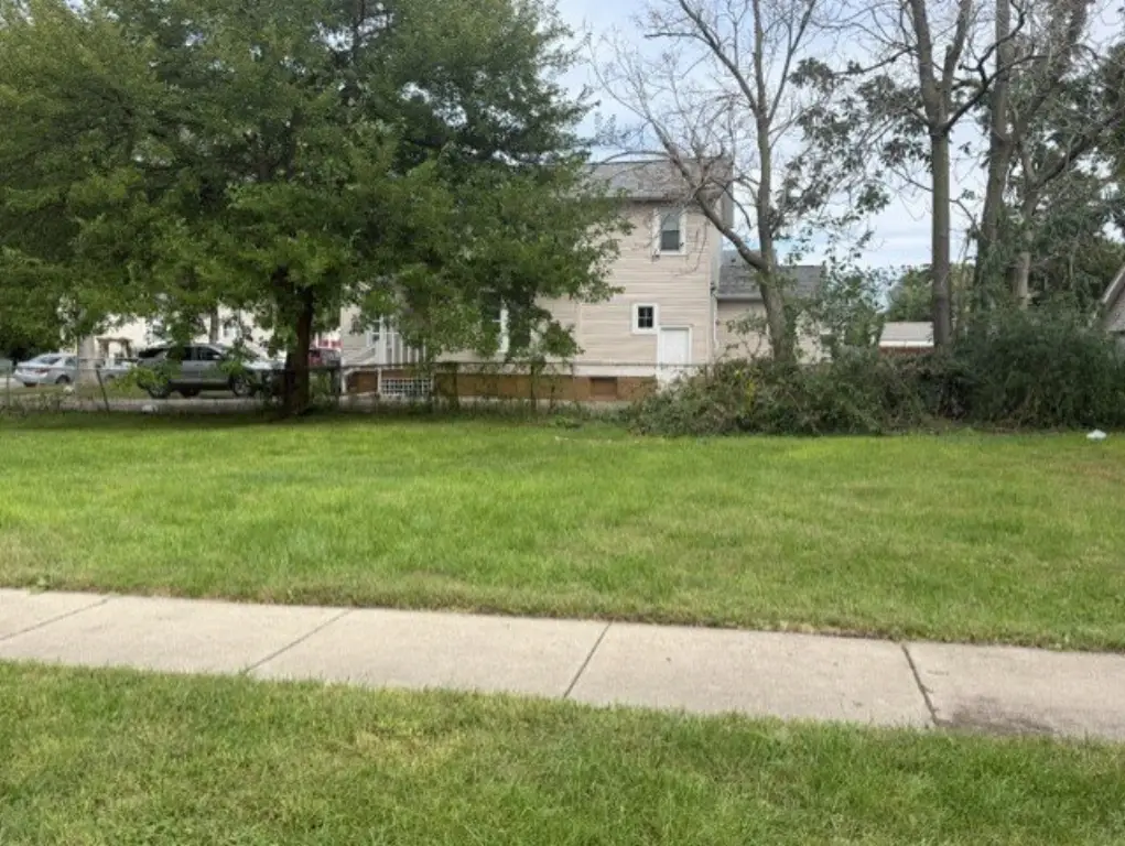 Picture 4