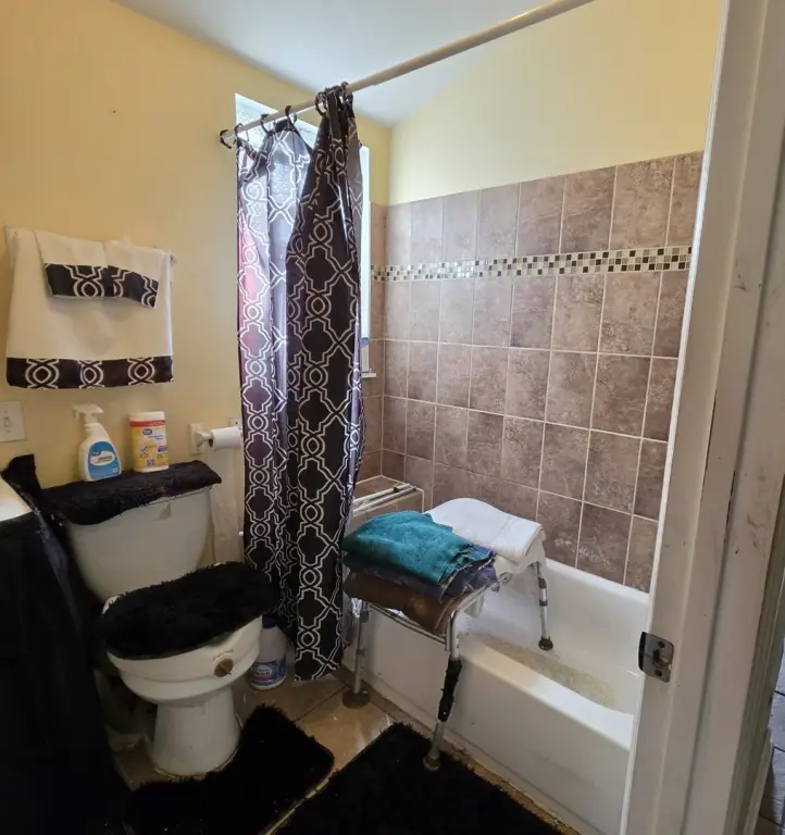 Picture 11