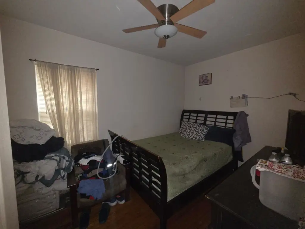Picture 8