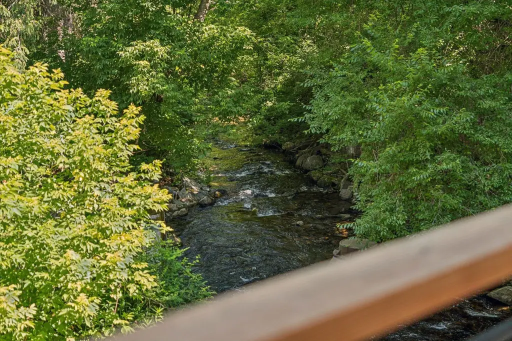 Picture 42