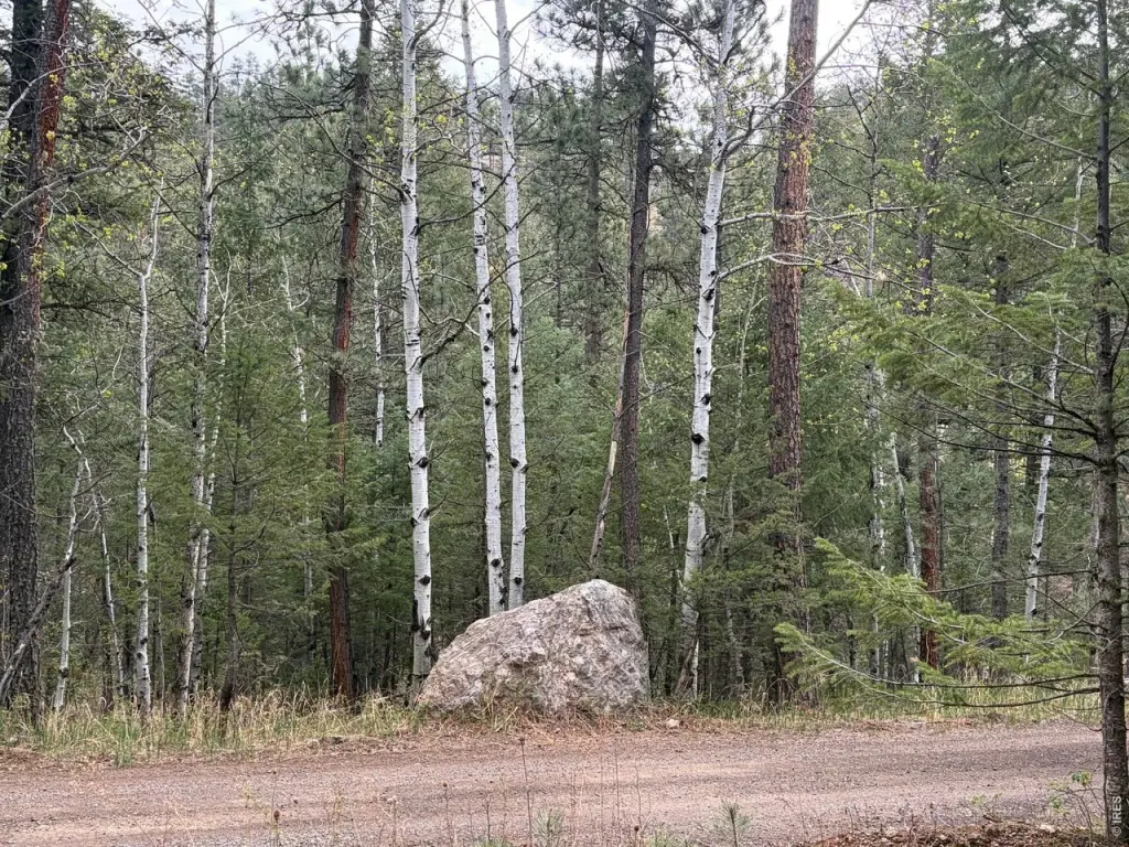 Picture 16