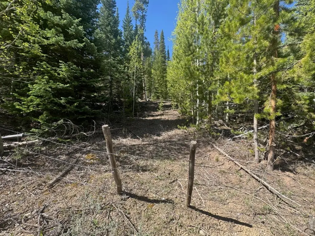 Picture 7