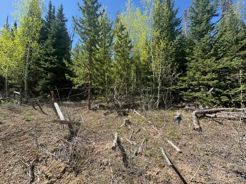 Picture 6