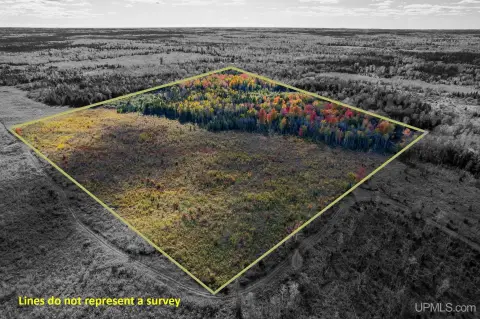 Vacant Land in Delta County