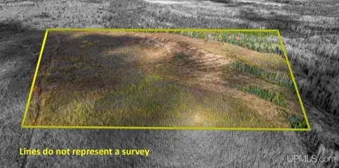 40 Acres of Wooded Land