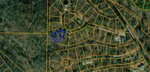 Bella Vista Land Opportunity