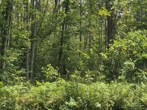 Bloomfield Residential Land Available