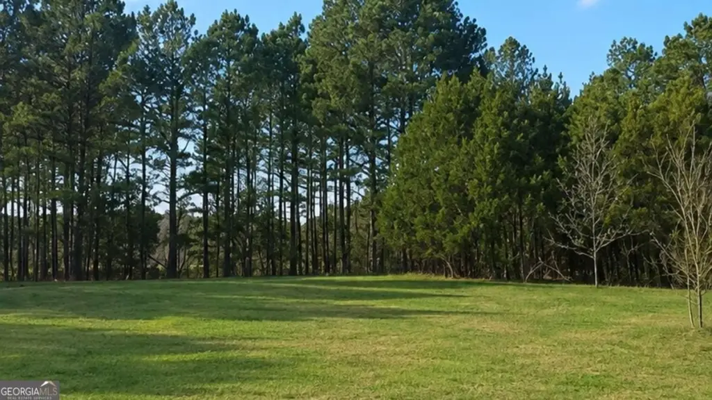 Picture 19