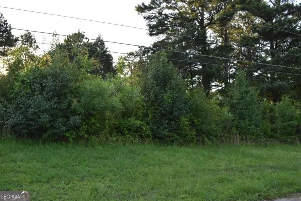Picture 3