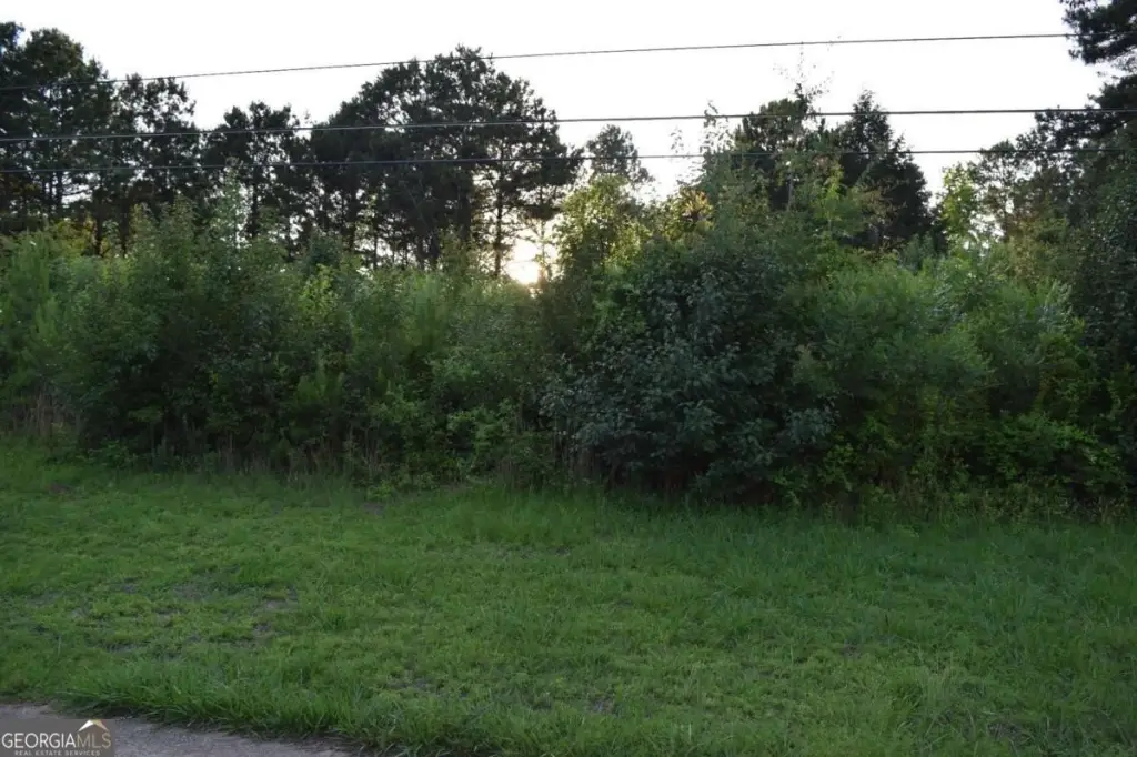 Picture 5