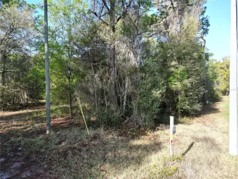 3.03 Acres Homesite on Hwy 25