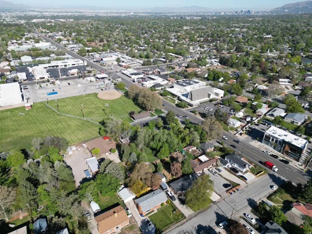 Picture 7