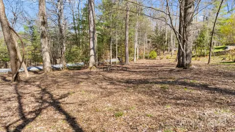 Wooded Lot in Laurel Park