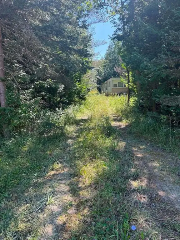 Picture 3