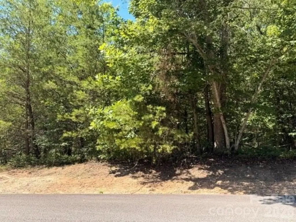 Picture 4