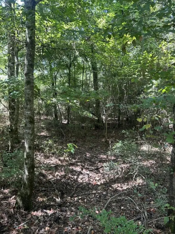 Picture 12
