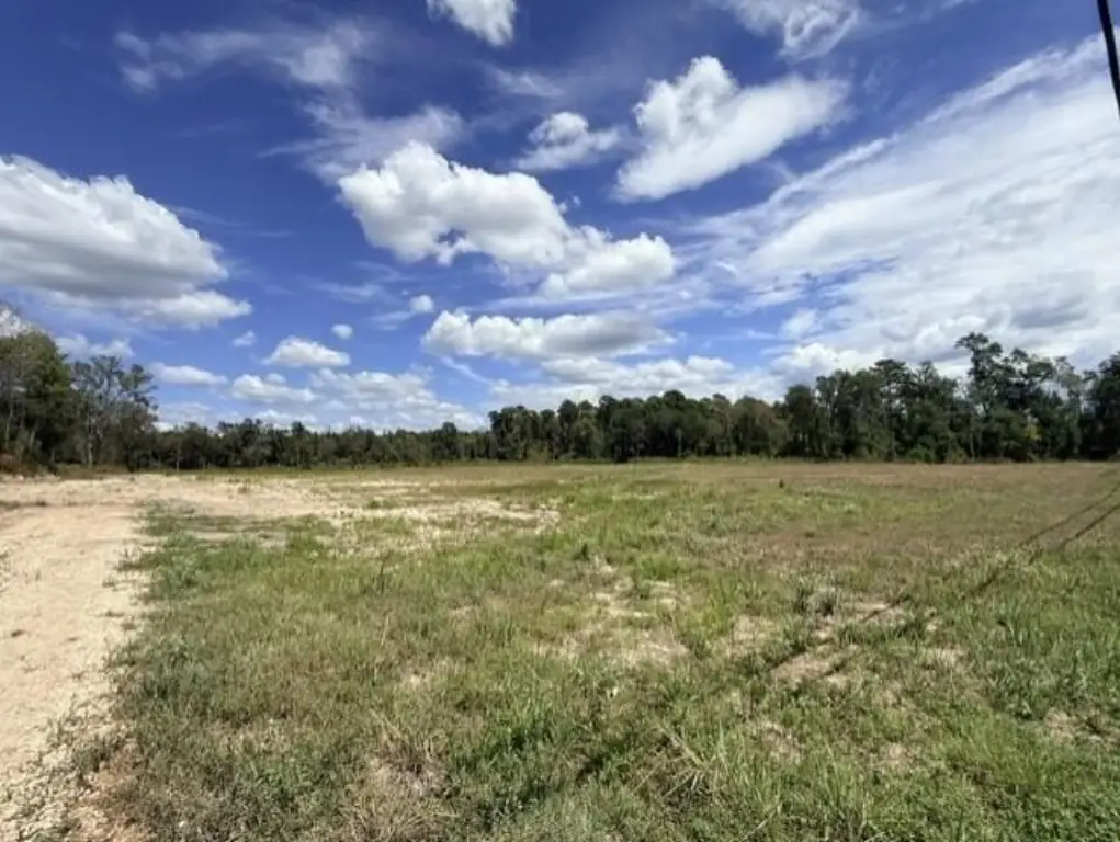 Picture 5
