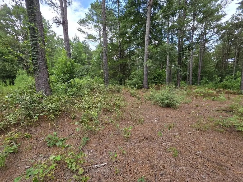 Picture 9