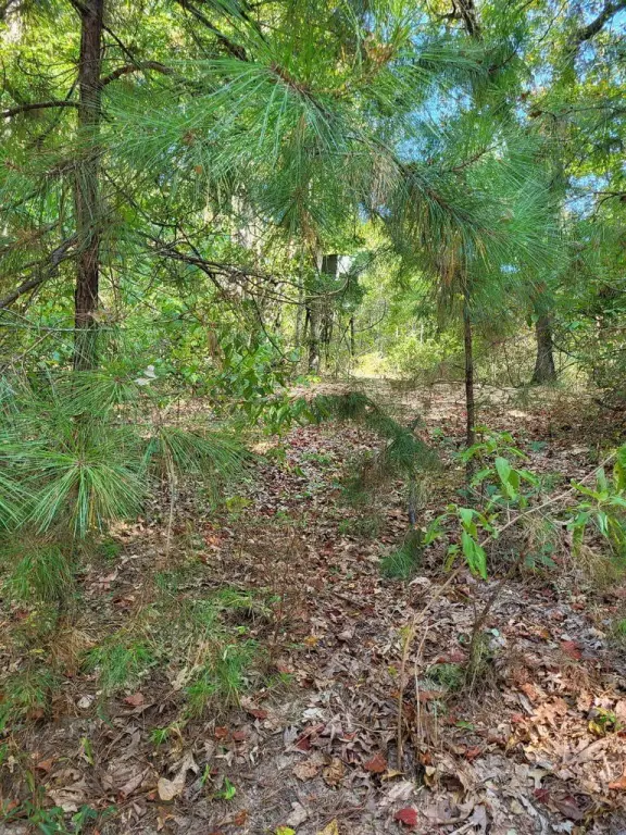 Picture 3