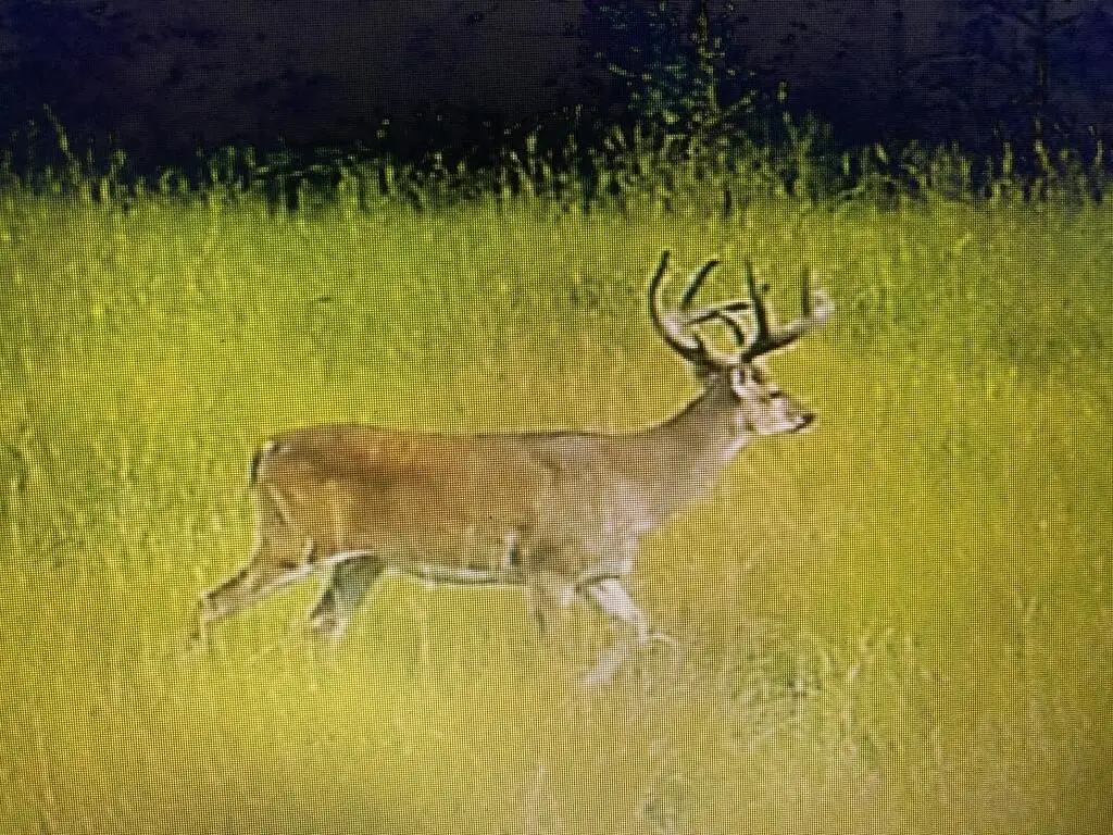 Picture 29