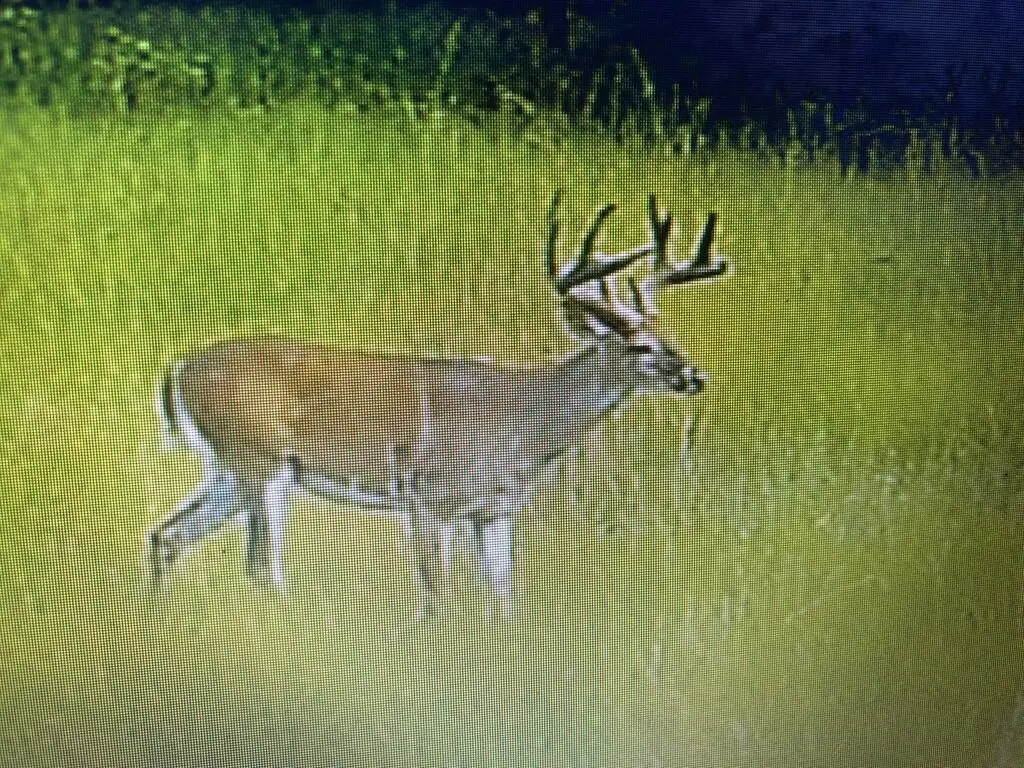 Picture 27