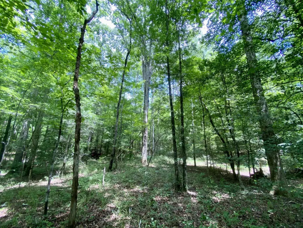 Picture 7
