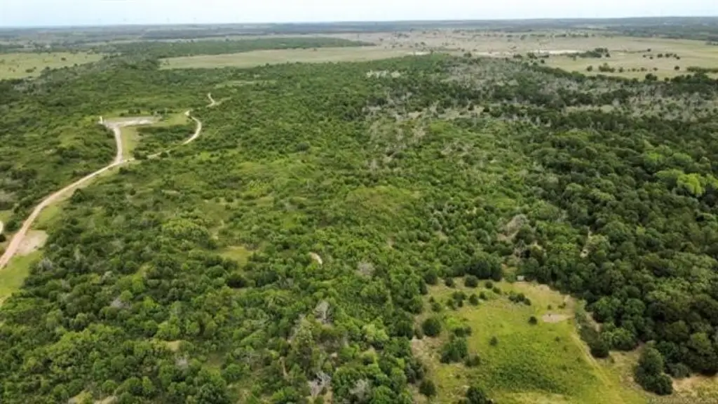 Picture 30