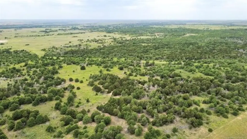 Picture 23